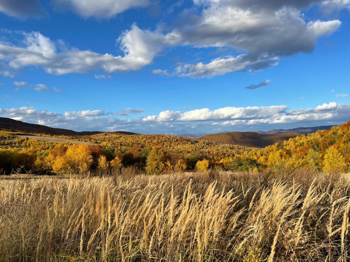 Дом отдыха Usadba Novoselitsa (Zakarpattia)