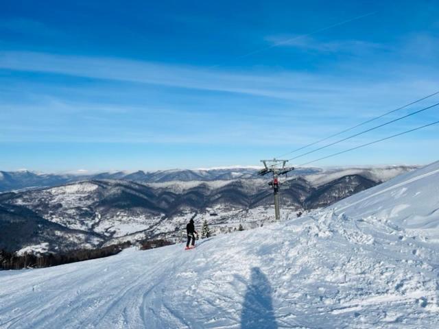 Usadba Дом отдыха Novoselitsa (Zakarpattia)