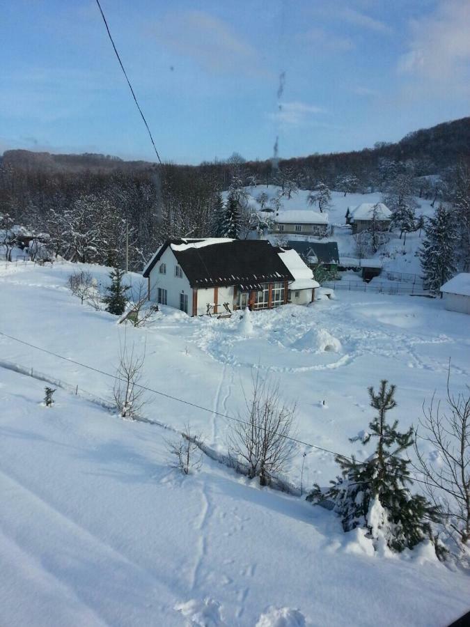 Usadba * Novoselitsa (Zakarpattia)
