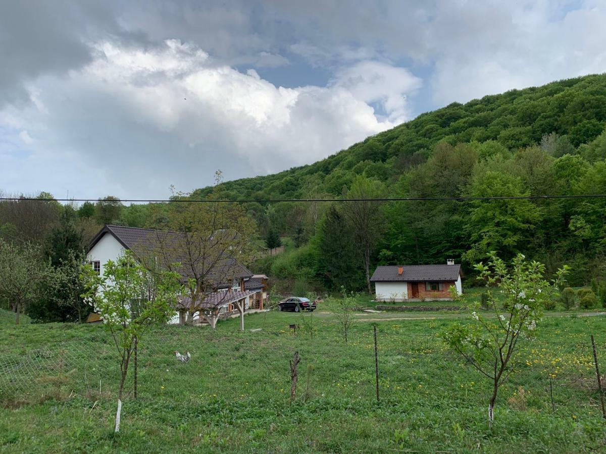 Usadba Novoselitsa (Zakarpattia)